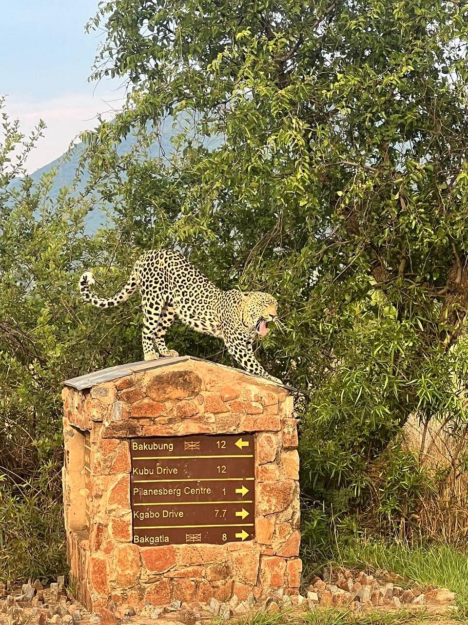 Pilanesberg National Park Safari